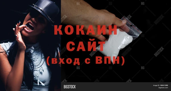 ешки Белокуриха