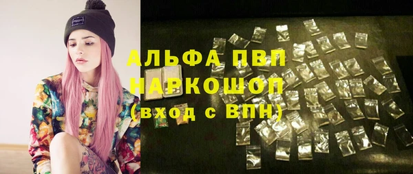 ешки Белокуриха