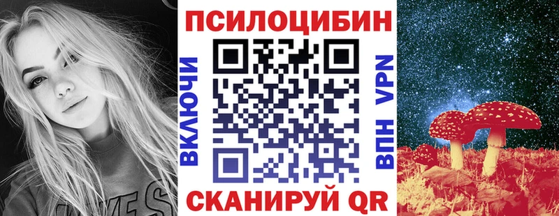 купить наркоту  Эртиль  Псилоцибиновые грибы Psilocybe 